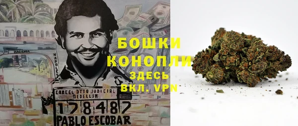 СК Магас