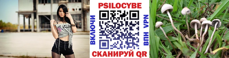 Галлюциногенные грибы прущие грибы  Бугульма 
